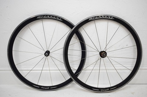 Campagnolo shamal alloy - shamal,