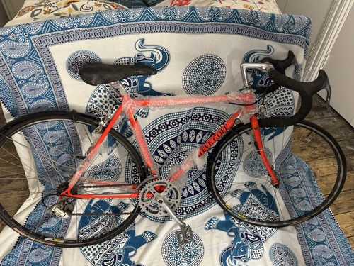 Steve goff racing road bike - goff,