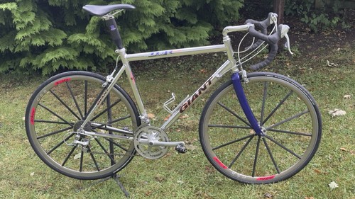 Giant tcr retro - tcr,