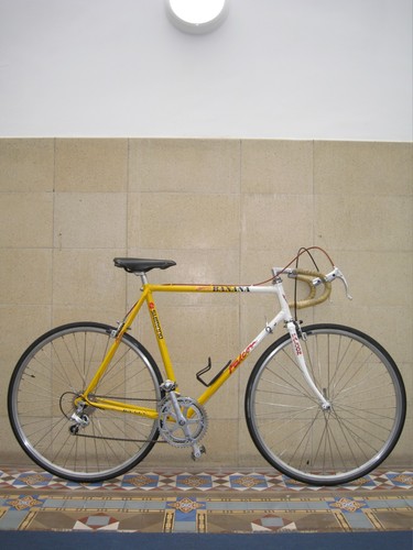 Vintage falcon team - team, banana