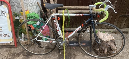 Raleigh equipe classic - equipe, road